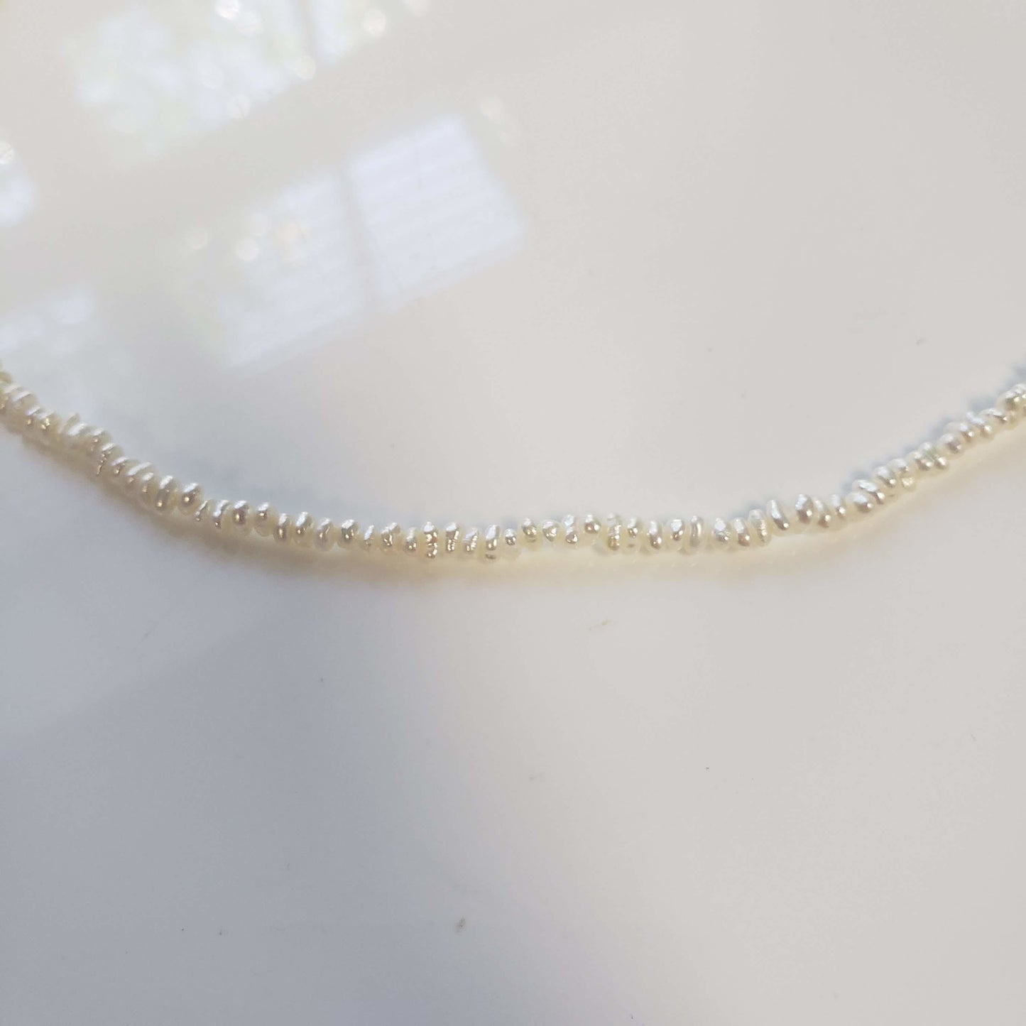 Freshwater Pearl Necklace Tiny Shell Choker Gift for Her