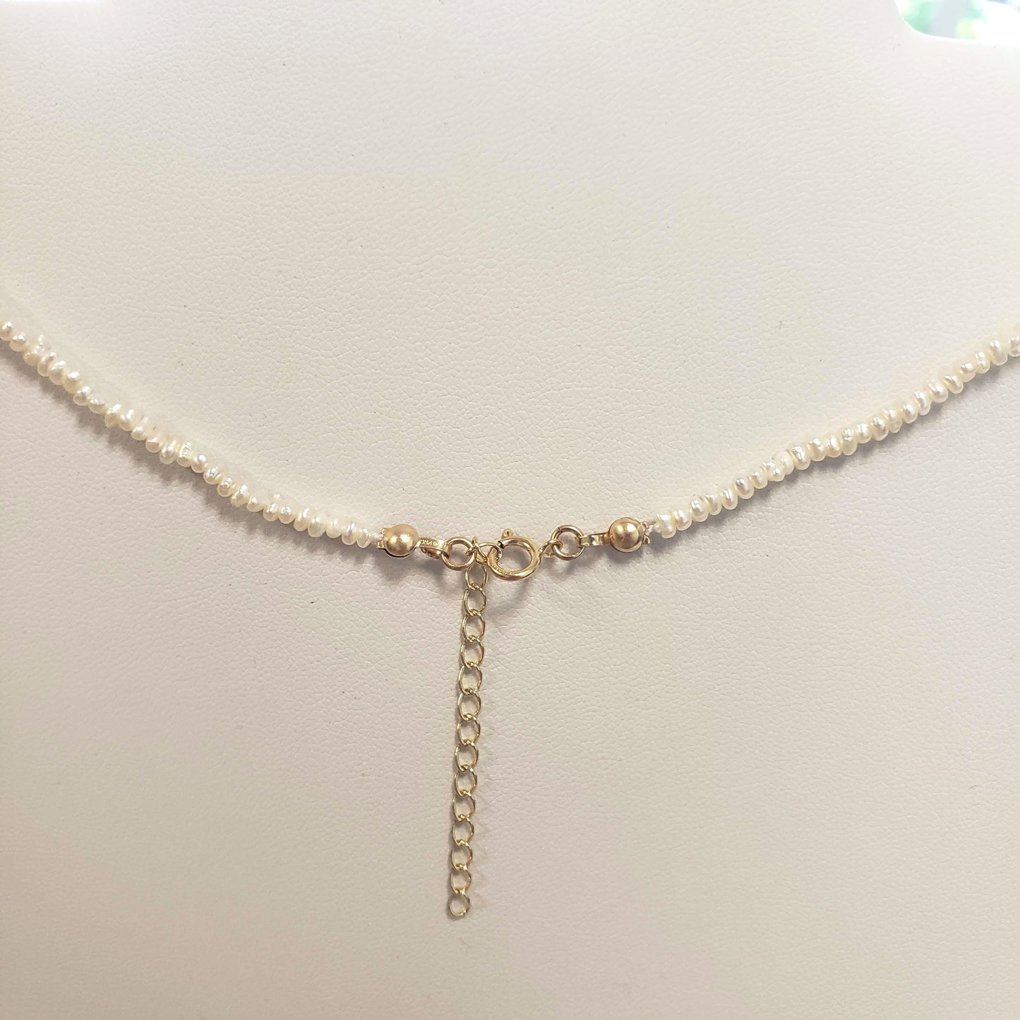 Freshwater Pearl Necklace Tiny Shell Choker Gift for Her